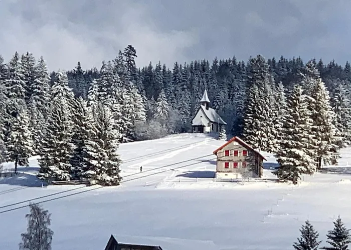 Haus Am Sonnenberg,Todtnauberg, Ferienwohnung 002, Direkt Am Skilift-Skipiste, Naehe Feldberg