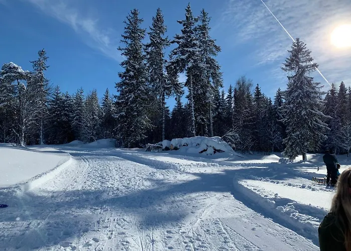 Haus Am Sonnenberg,Todtnauberg, Ferienwohnung 002, Direkt Am Skilift-Skipiste, Naehe Feldberg