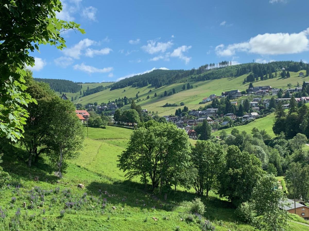 Haus Am Sonnenberg,todtnauberg, 002, Direkt Am Skilift-skipiste, Naehe Feldberg *