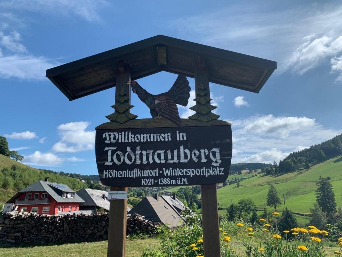 Haus Am Sonnenberg,todtnauberg, 002, Direkt Am Skilift-skipiste, Naehe Feldberg * Todtnauberg