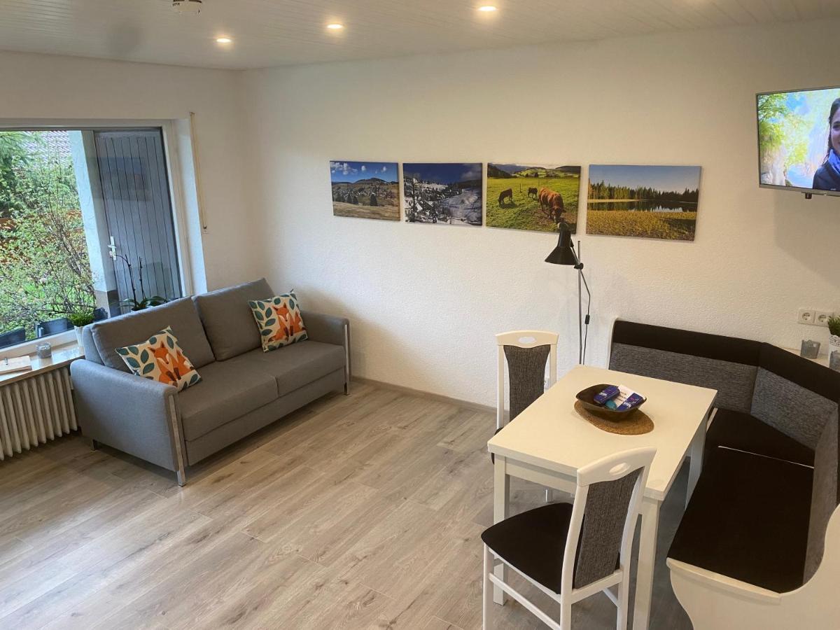 Apartment Haus Am Sonnenberg,todtnauberg, 002, Direkt Am Skilift-skipiste, Naehe Feldberg Todtnauberg