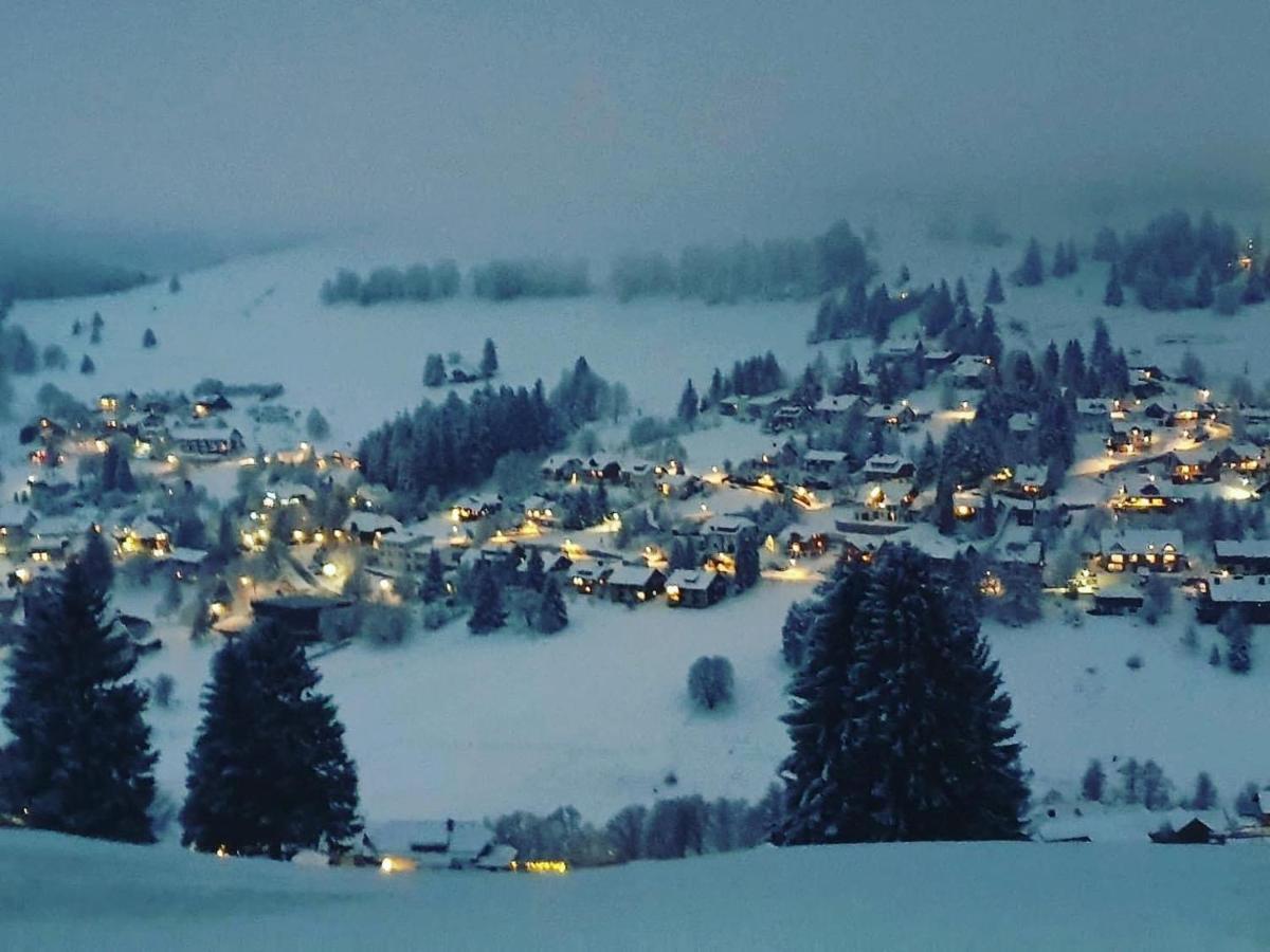 Haus Am Sonnenberg,todtnauberg, 002, Direkt Am Skilift-skipiste, Naehe Feldberg * Todtnauberg