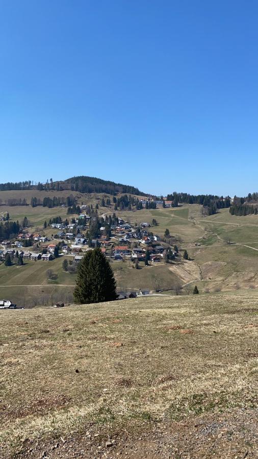 Haus Am Sonnenberg,todtnauberg, 002, Direkt Am Skilift-skipiste, Naehe Feldberg Apartment Todtnauberg