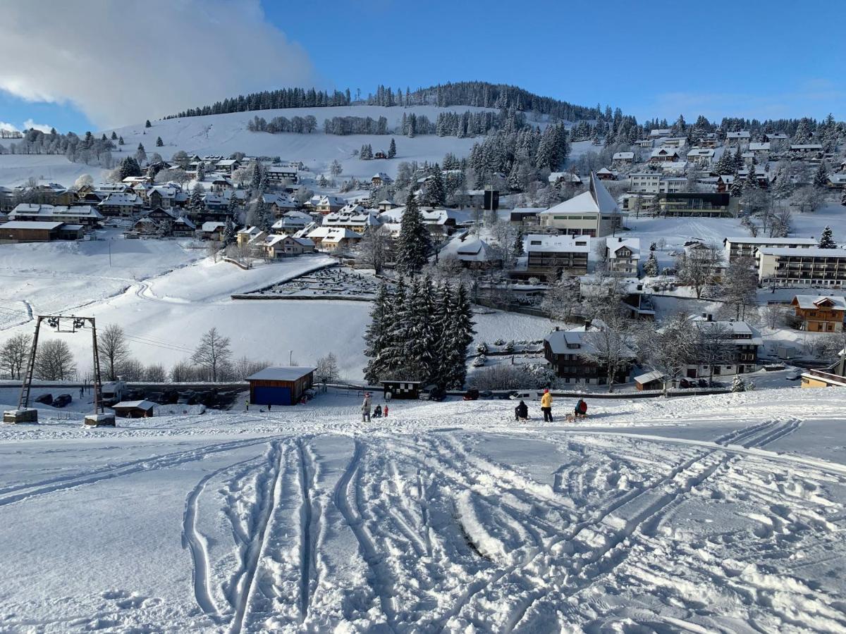 Apartment Haus Am Sonnenberg,todtnauberg, 002, Direkt Am Skilift-skipiste, Naehe Feldberg *