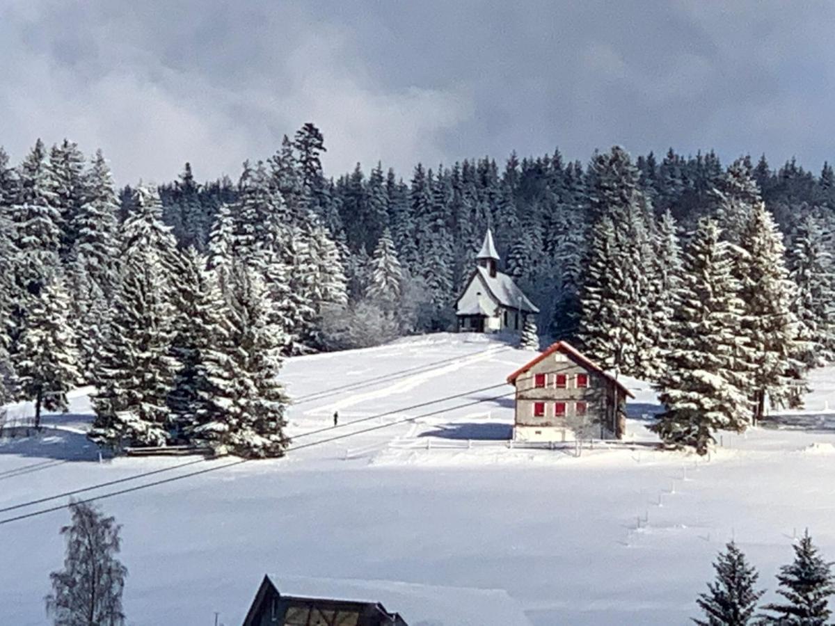 Apartment Haus Am Sonnenberg,todtnauberg, 002, Direkt Am Skilift-skipiste, Naehe Feldberg
