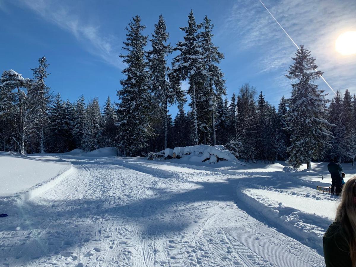 Haus Am Sonnenberg,todtnauberg, 002, Direkt Am Skilift-skipiste, Naehe Feldberg Apartment