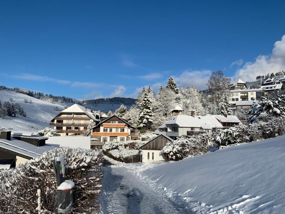 Haus Am Sonnenberg,todtnauberg, 002, Direkt Am Skilift-skipiste, Naehe Feldberg Todtnauberg